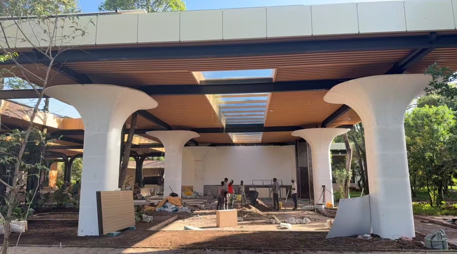 飾紀(jì)上品GRG廠家-非洲馬賽馬拉酒店GRG柱子的工程案例